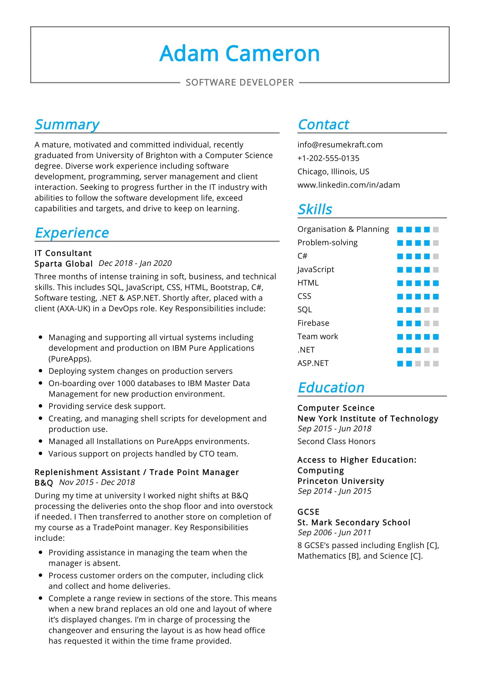 10 It Consultant Resume Sample